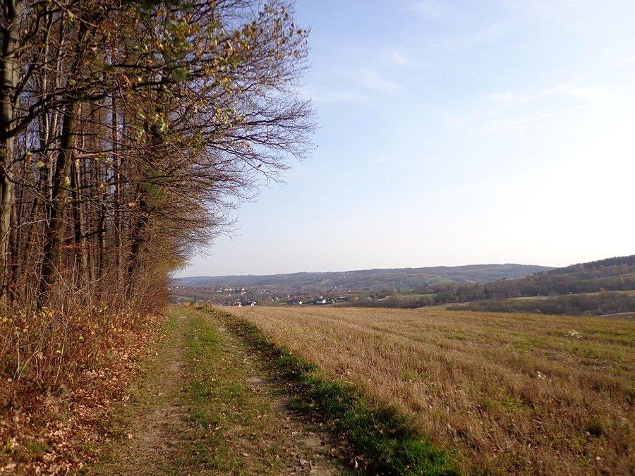 Gdzieś w terenie