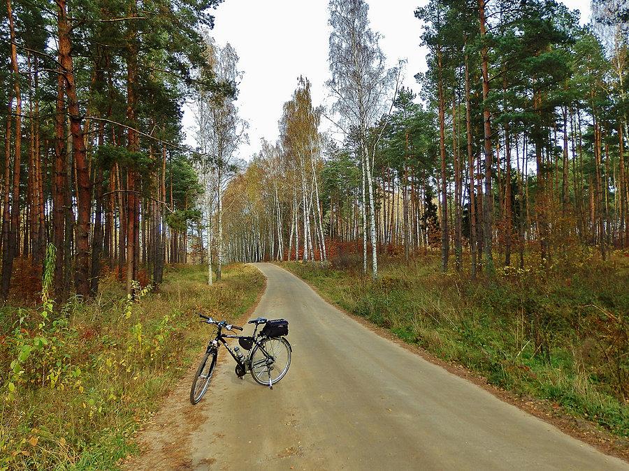 Dzień Wszystkich Świętych - na rowerku
