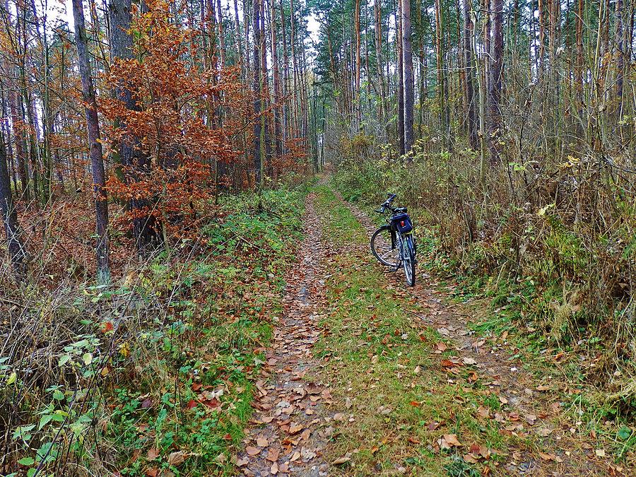 Dzień Wszystkich Świętych - na rowerku