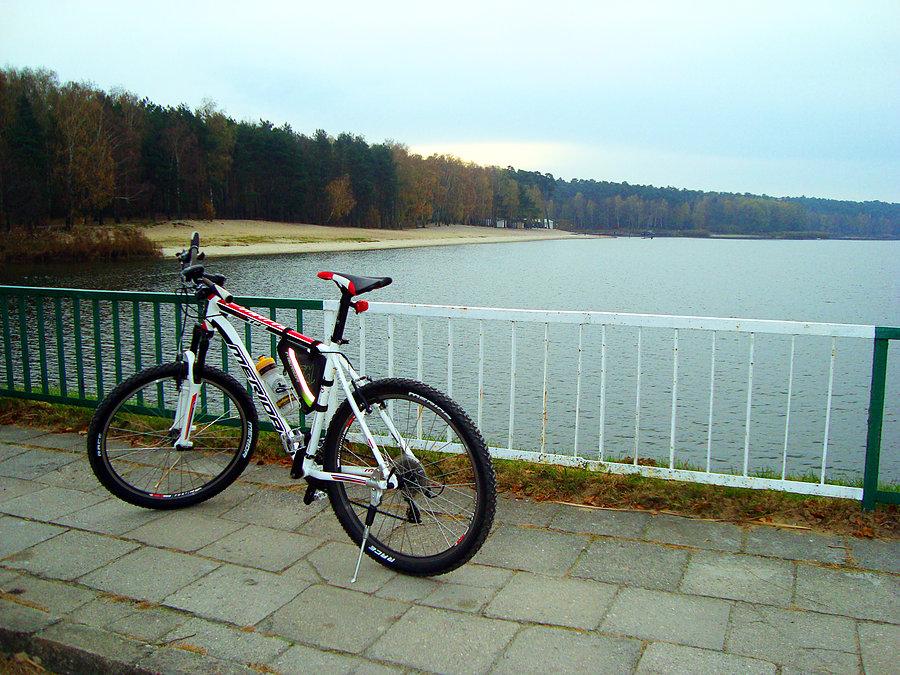 Merida na tamie w Gołuchowie