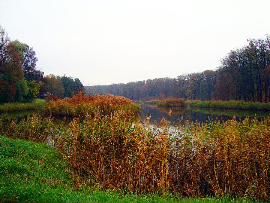 Widok na drugi staw