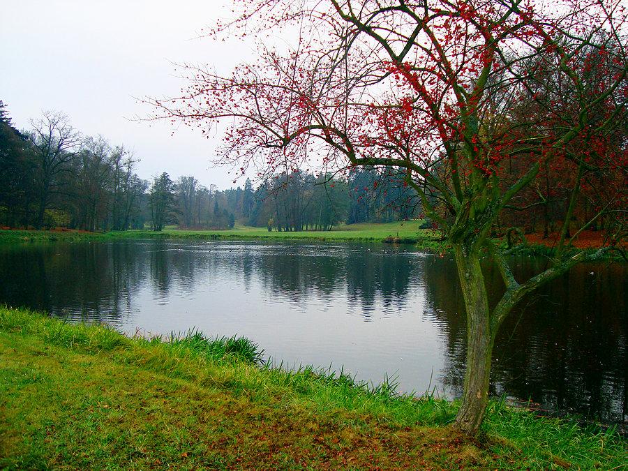Widok z grobli na pierwszy staw