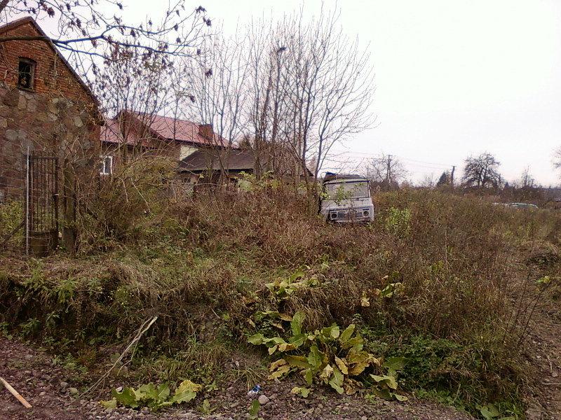 Zdewastowany żuk