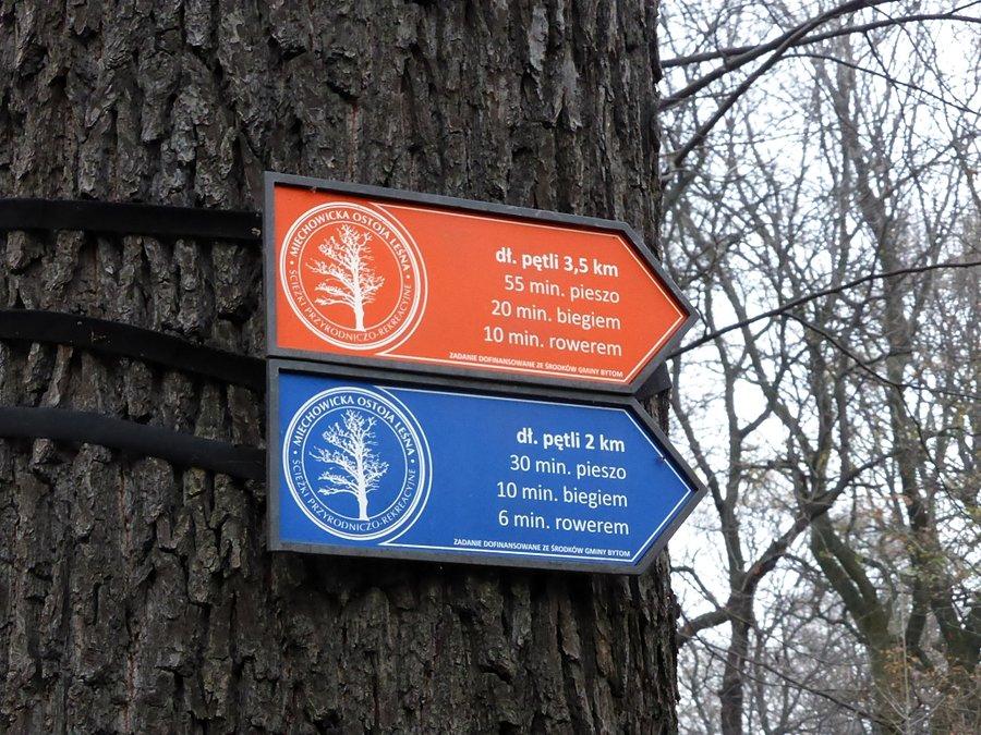 Pieszo, biegiem, rowerem