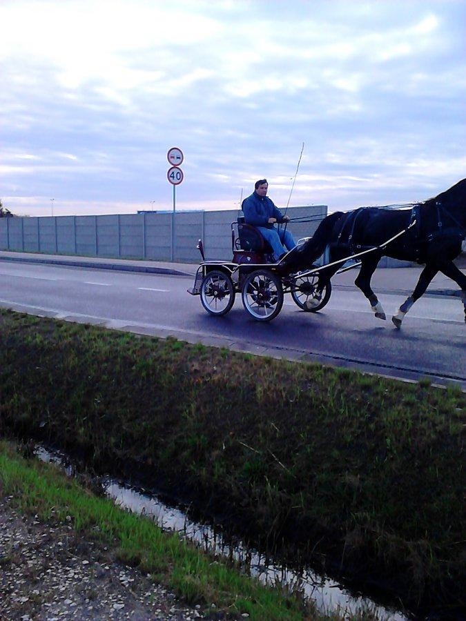 Bryczka zjeżdżała z wiaduktu tak szybko, że koń wyszedł bez głowy