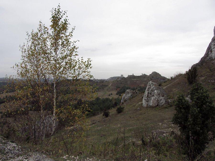 Widok na Lipówki i zamek