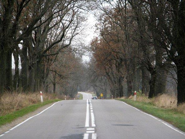 Droga między Niedrzwicą Dużą, a Bychawą