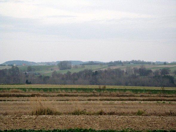 Widok na pola w kierunku Bychawy
