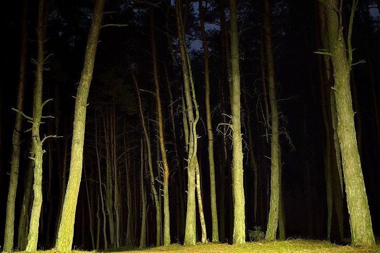 Las nocą
