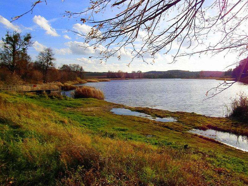 Jezioro Lubiszewskie