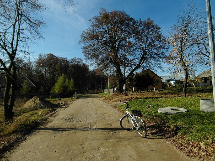 Dorga do Śliwin