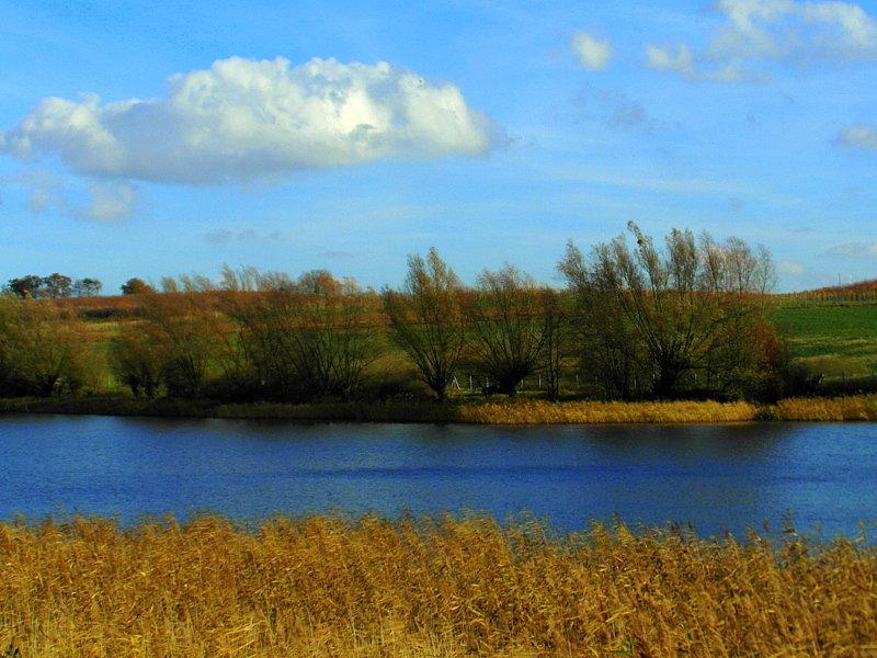 Jezioro Lubiszewskie