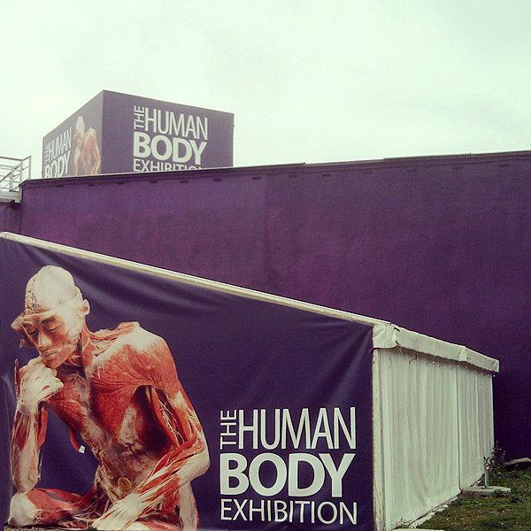 The Human Body Exhibition
