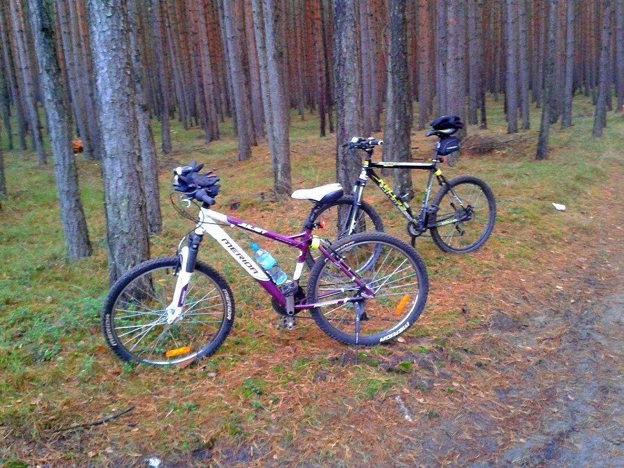 Nasze bryczki