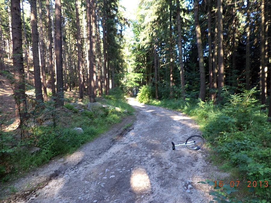 Trudna dla monocykli droga ponad Jagniątkowem (zbocza Sośnika) - skrót na Michałowice
