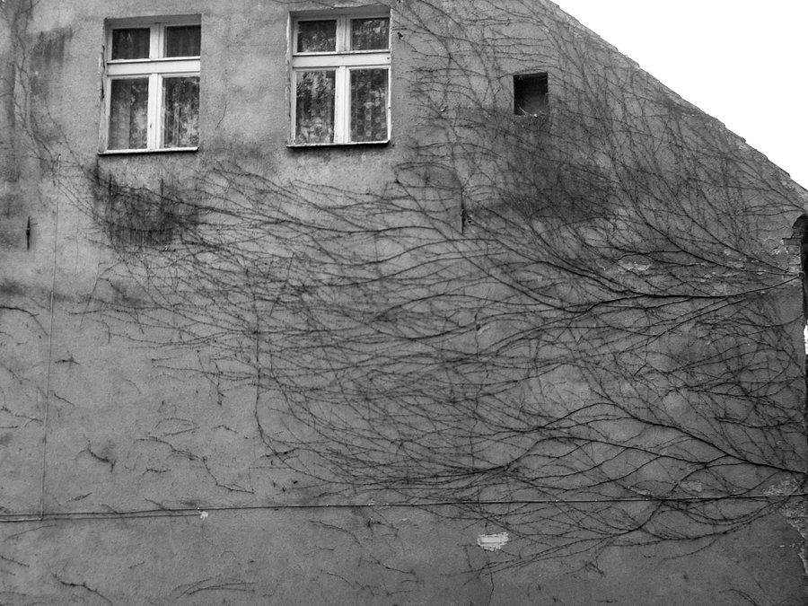 Murale