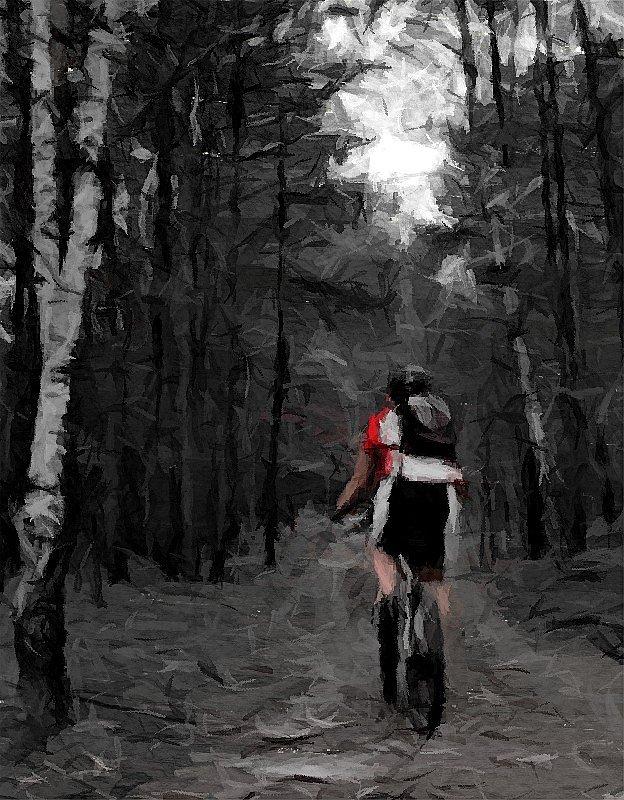 Gdzieś w świętokrzyskim na podjeździe - fotosketcher