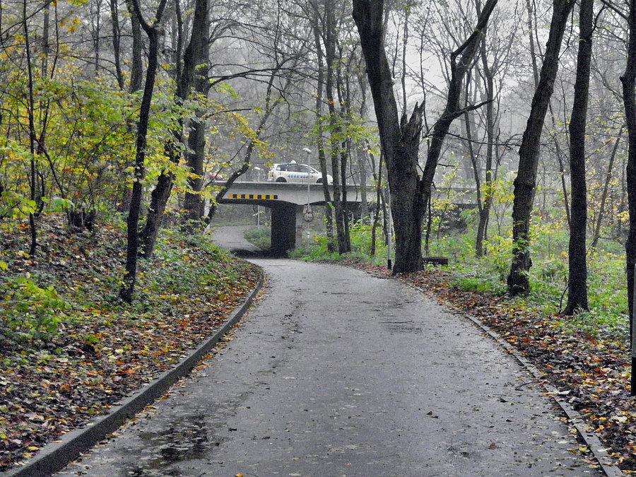 Tuż przed kąpieliskiem Arkonka - 7 listopada 13 r