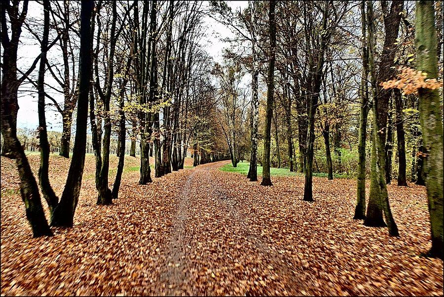 Jesień na wałach