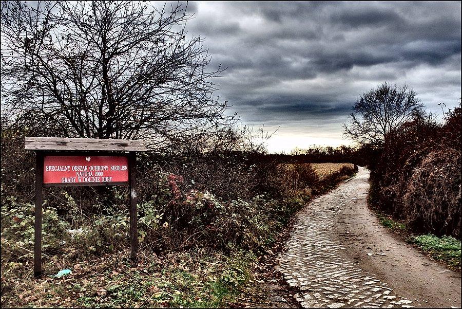 Specjalny Obszar Ochrony Siedlisk Natura 2000 Grądy W Dolinie Odry