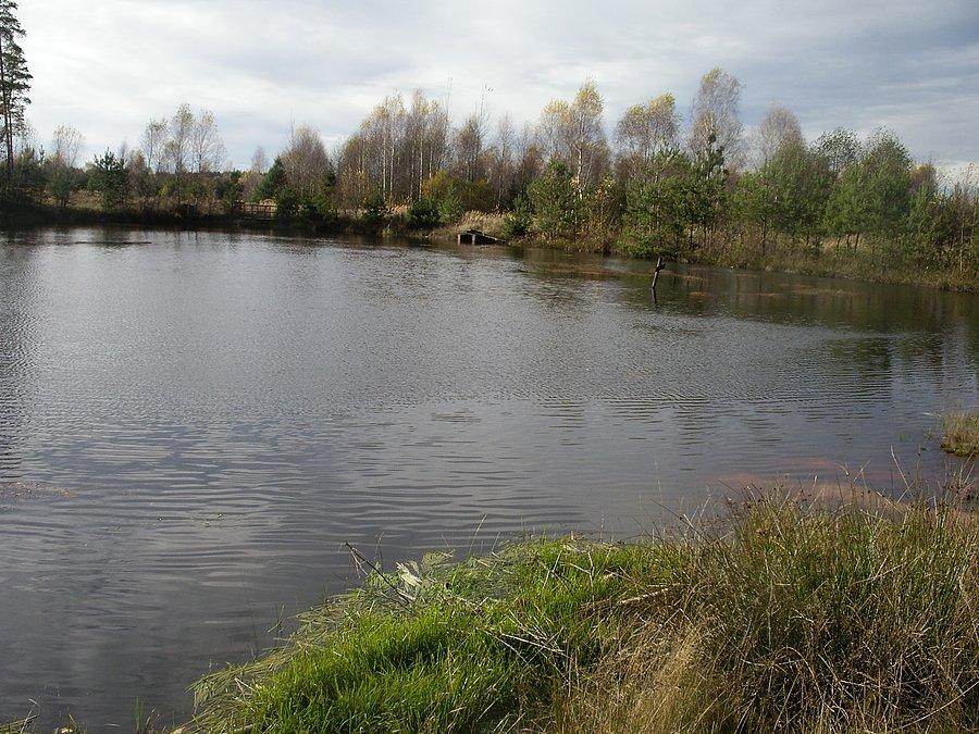 Jeziorko k/Olszyny