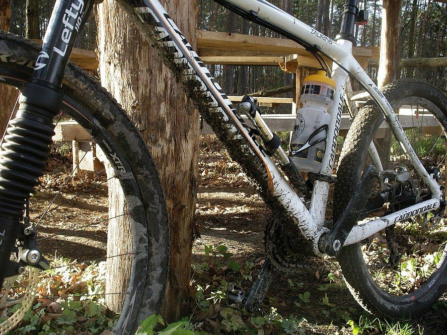Cannondale brudas