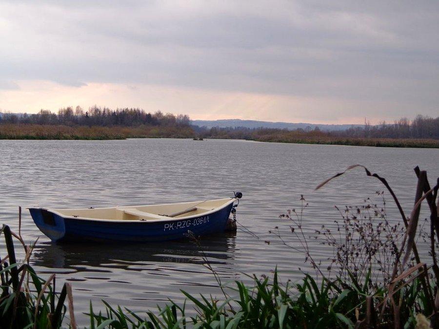 Widok z nad Wisłoka