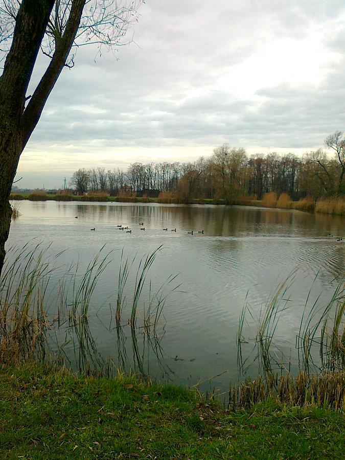 Pierwszy raz nie widziałam nad tym stawem wędkarzy. Sezon się skończył?