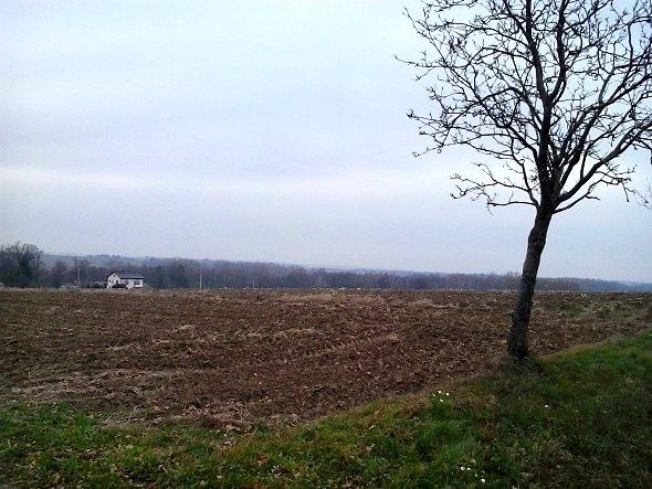 Widok na pola gdzieś nieopodal Tuszowa