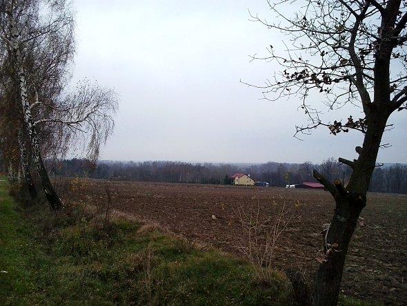 Przy drodze na Bychawę