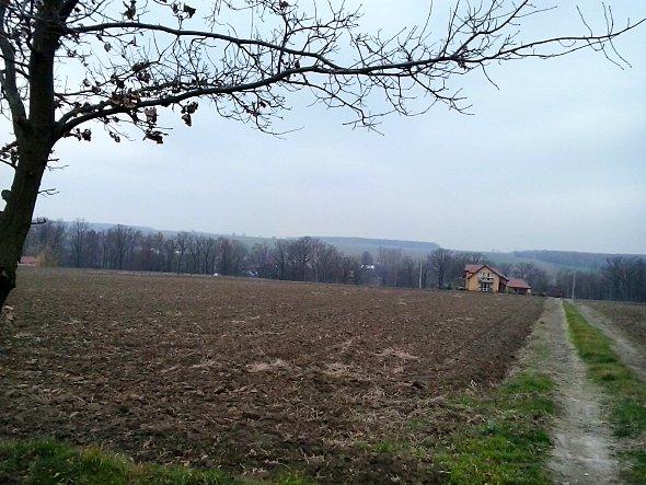 Widok na zachód
