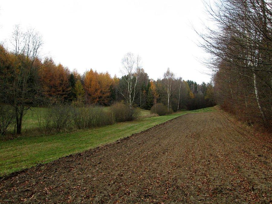 Okolice wsi Lipowiec