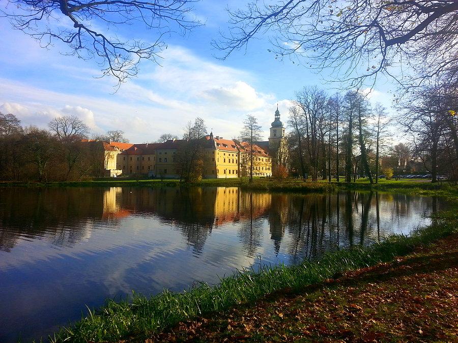 Rudy Raciborskie