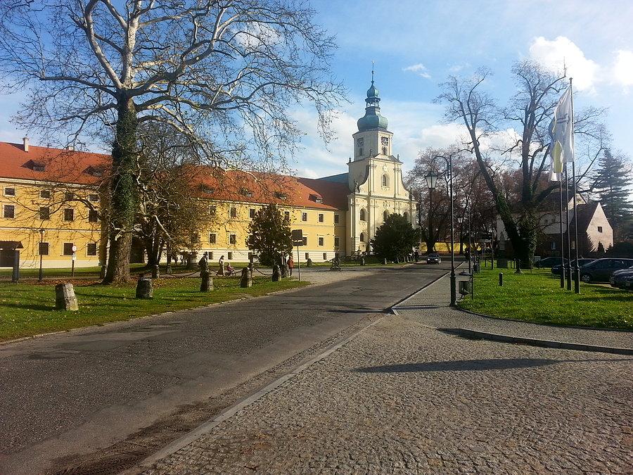 Rudy Raciborskie