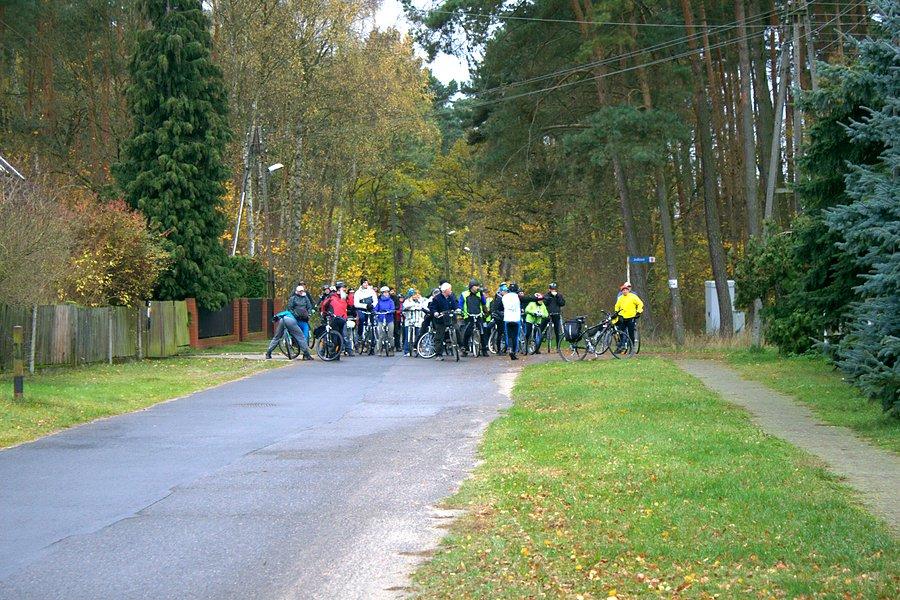 W pogoni za lisicą