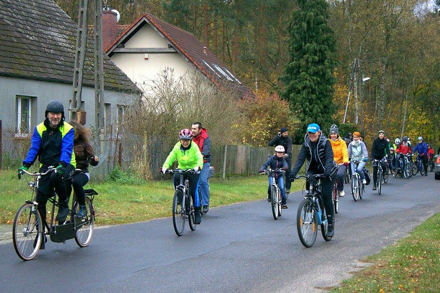 W pogoni za lisicą