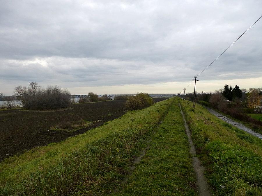 Wał wzdłuż Wisły koło Chełmna