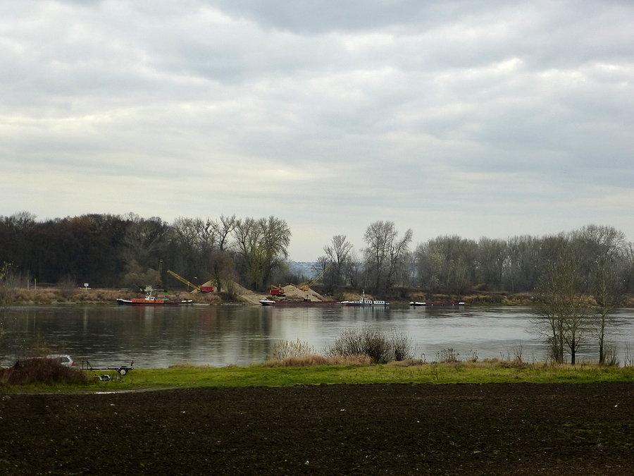 Wisła w Chełmnie
