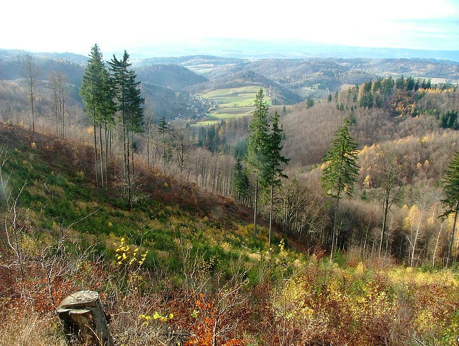 Rzut okiem na góry
