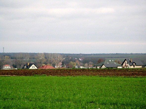 Widok na Niedrzwice
