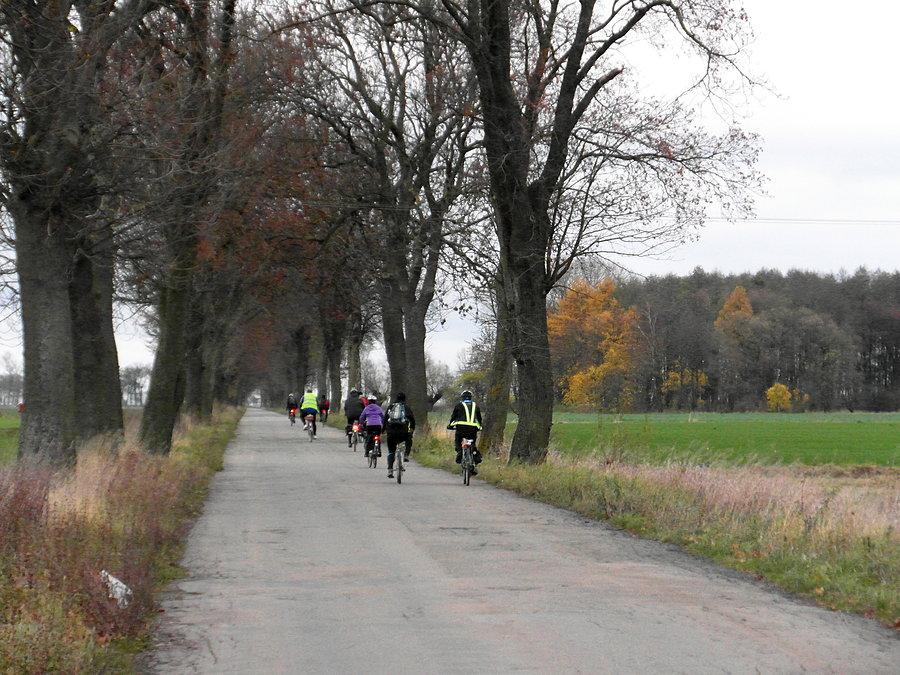Rowerzyści w drodze powrotnej