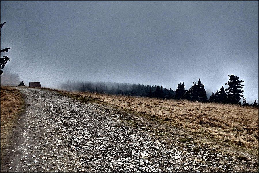 Jedna z dróg prowadzących do schroniska