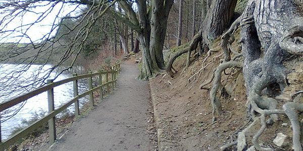 Zbiornik Swinstry. Korzenie