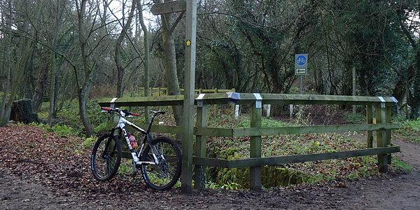 Na szlaku rowerowym im.Beryla Burtona z Knaresborough do Harrogate
