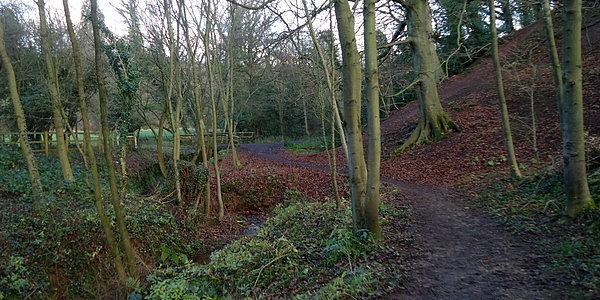 W Mackintosh Park zjeździłem chyba wszystkie ścieżki