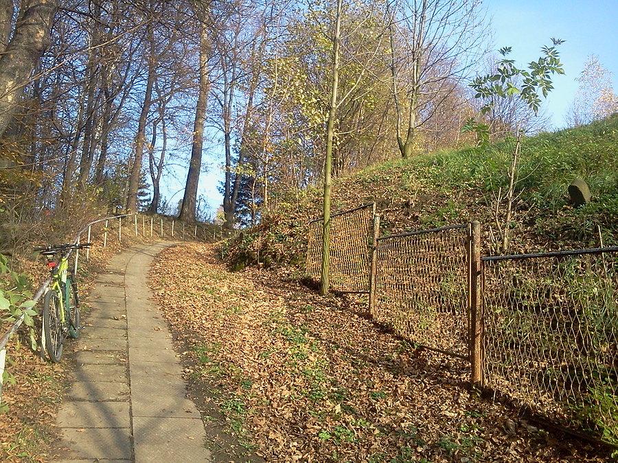 Slupki graniczne Cieszyna