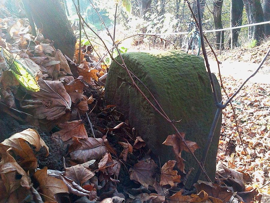 Slupek graniczny Cieszyna 1 (T)