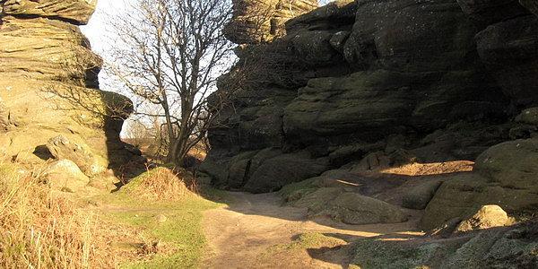 Brimham Rocks