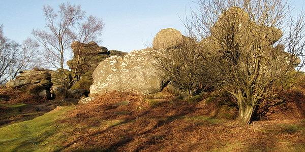 Brimham Rocks