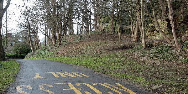 Prywatny las przy Abbey Road w Knaresborough